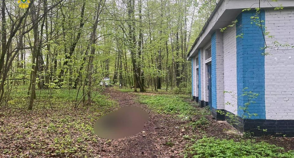 Прокуратура Москвы: тело мужчины нашли в лесопарке в Сокольниках