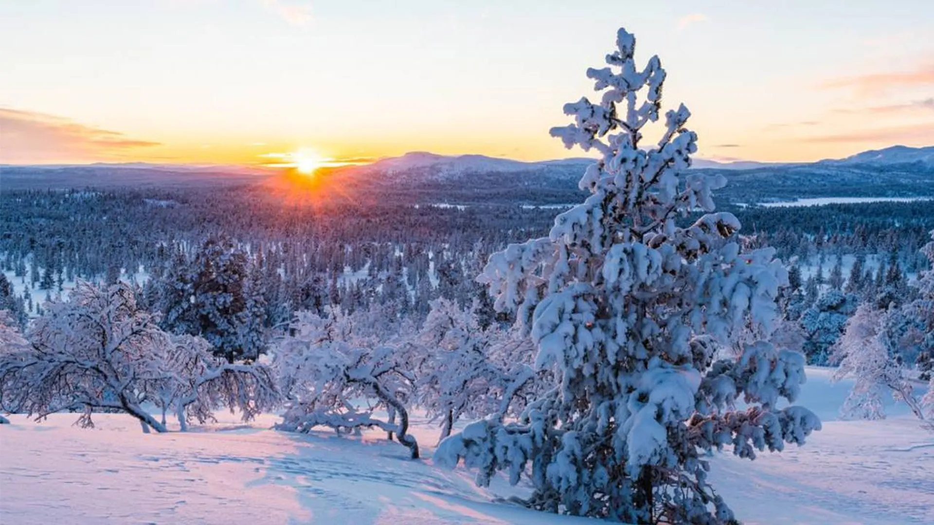 День зимнего солнцестояния: как правильно загадывать желания и избавляться от завистников