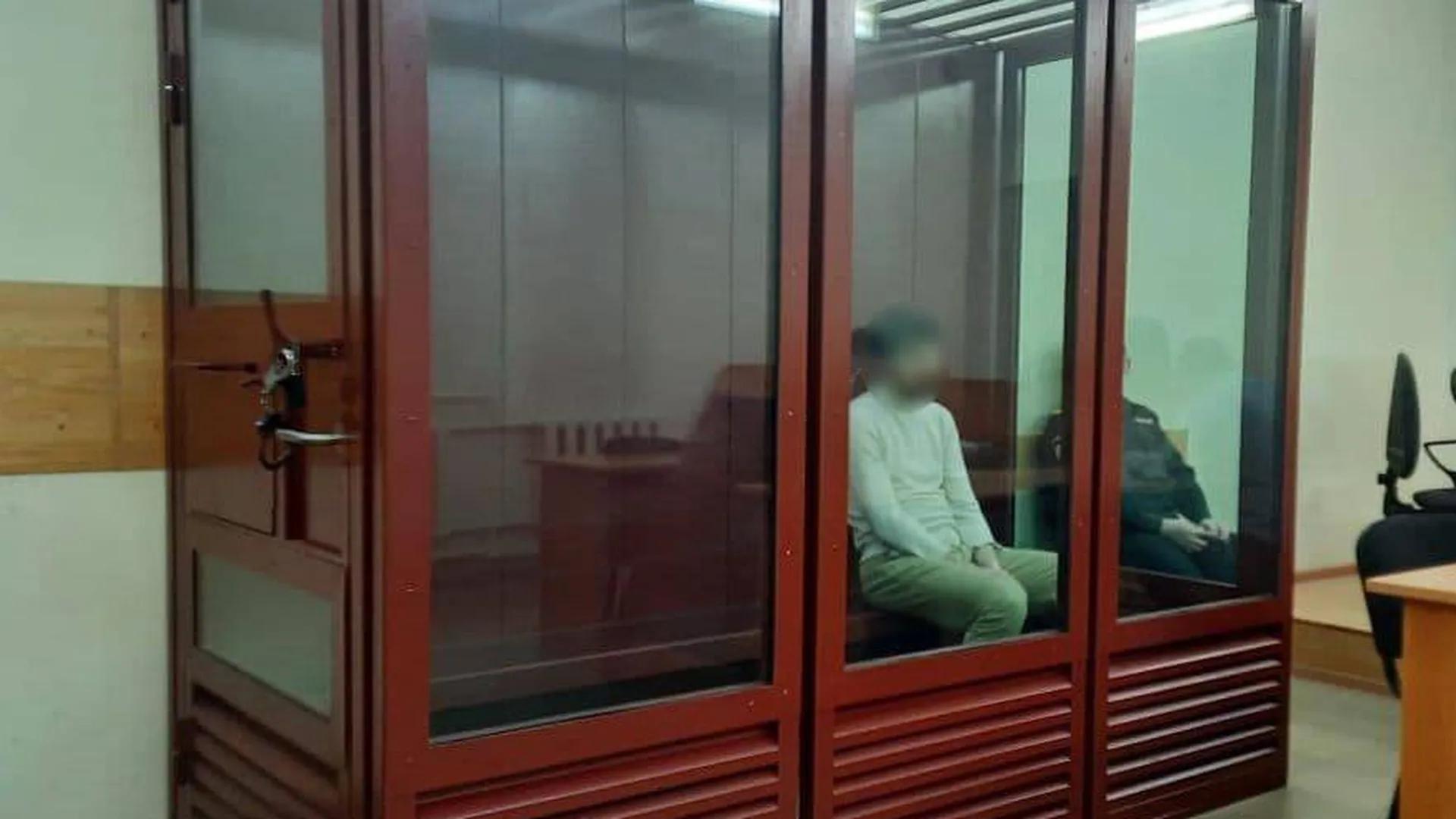 Мужа уральской блогерши взяли под стражу после признания в убийстве — СК