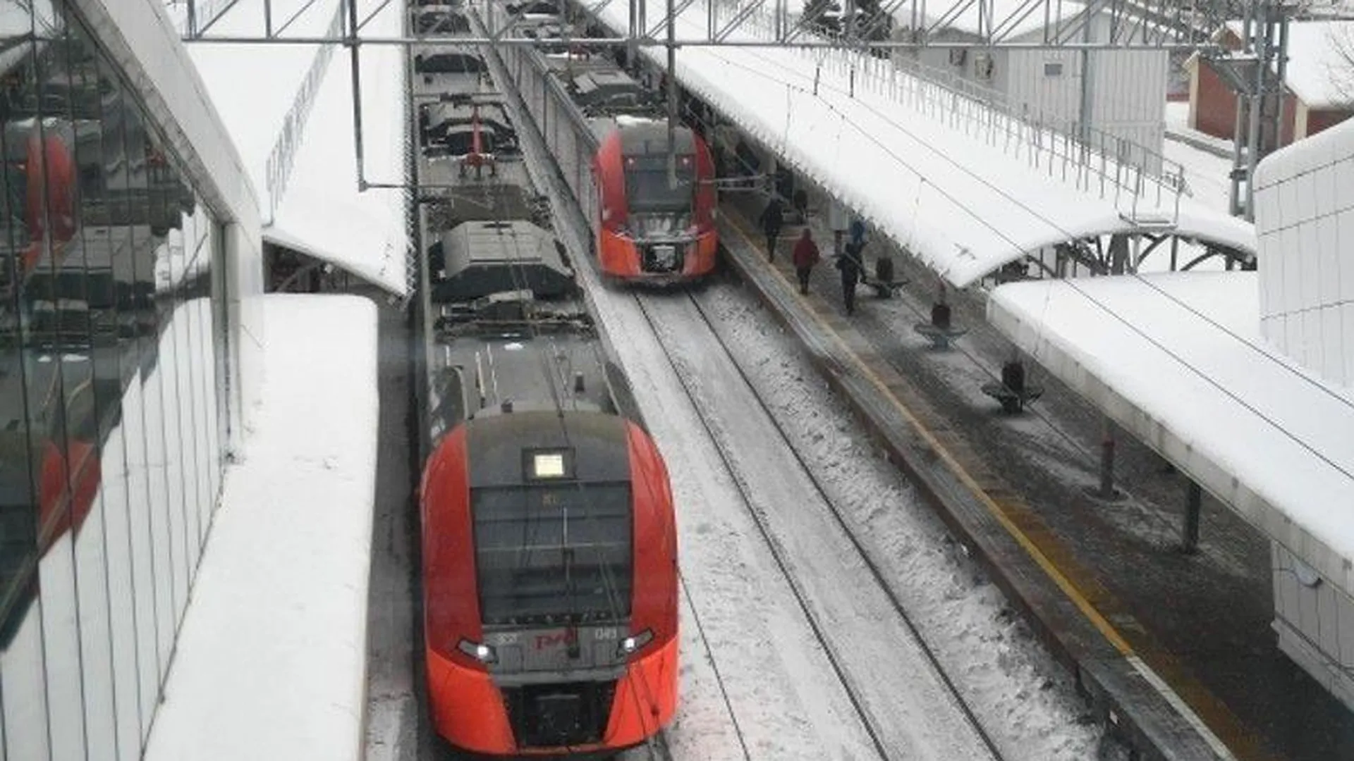 Пятьсот опасных троп ликвидировали на железной дороге в Подмосковье в 2022 году