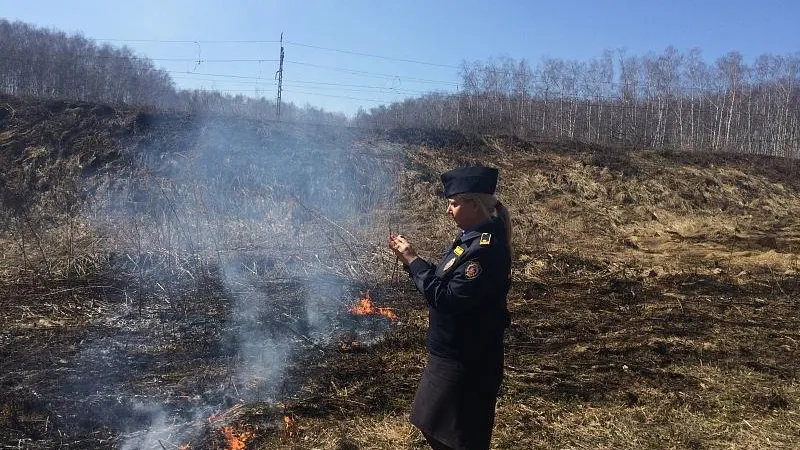 Тридцать четыре факта сжигания мусора выявили в области