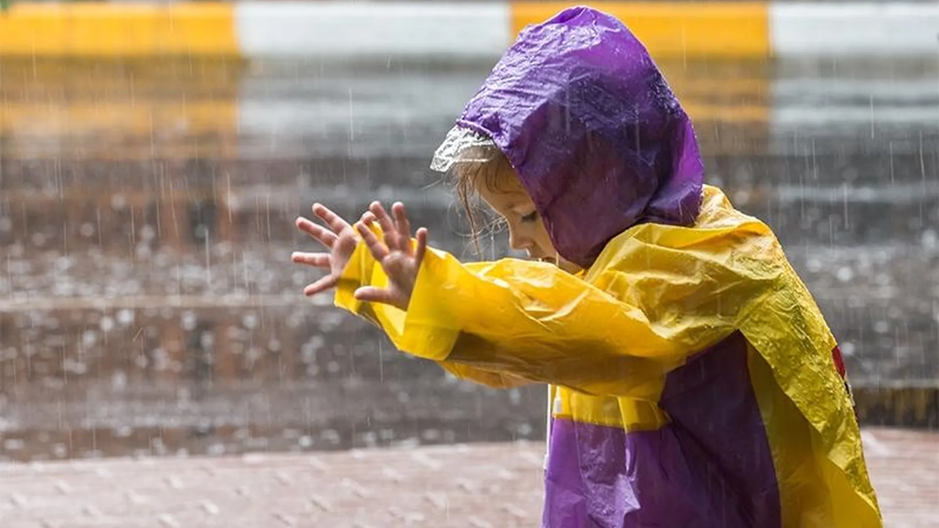 Жара и дожди: каким будет июль в столичном регионе