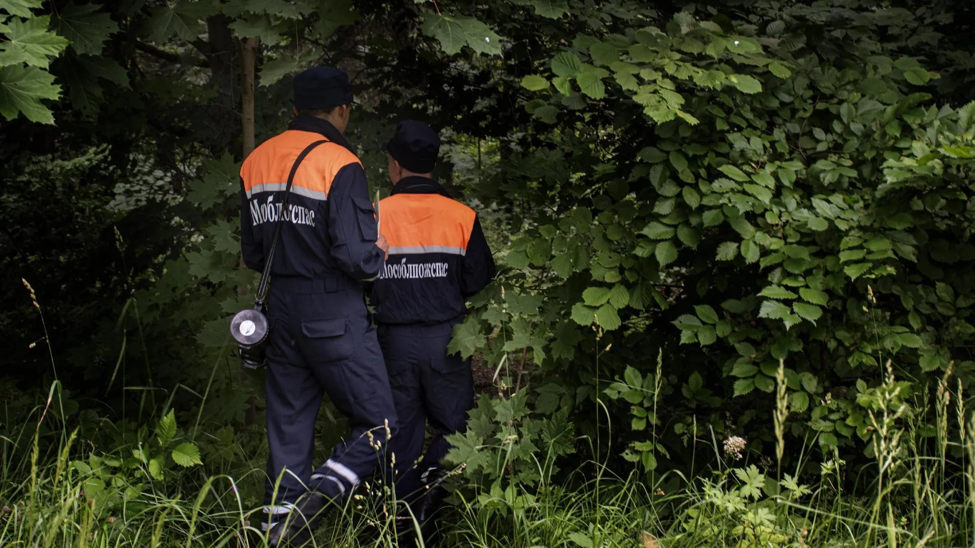 Подмосковные спасатели вывели из леса заблудившуюся женщину