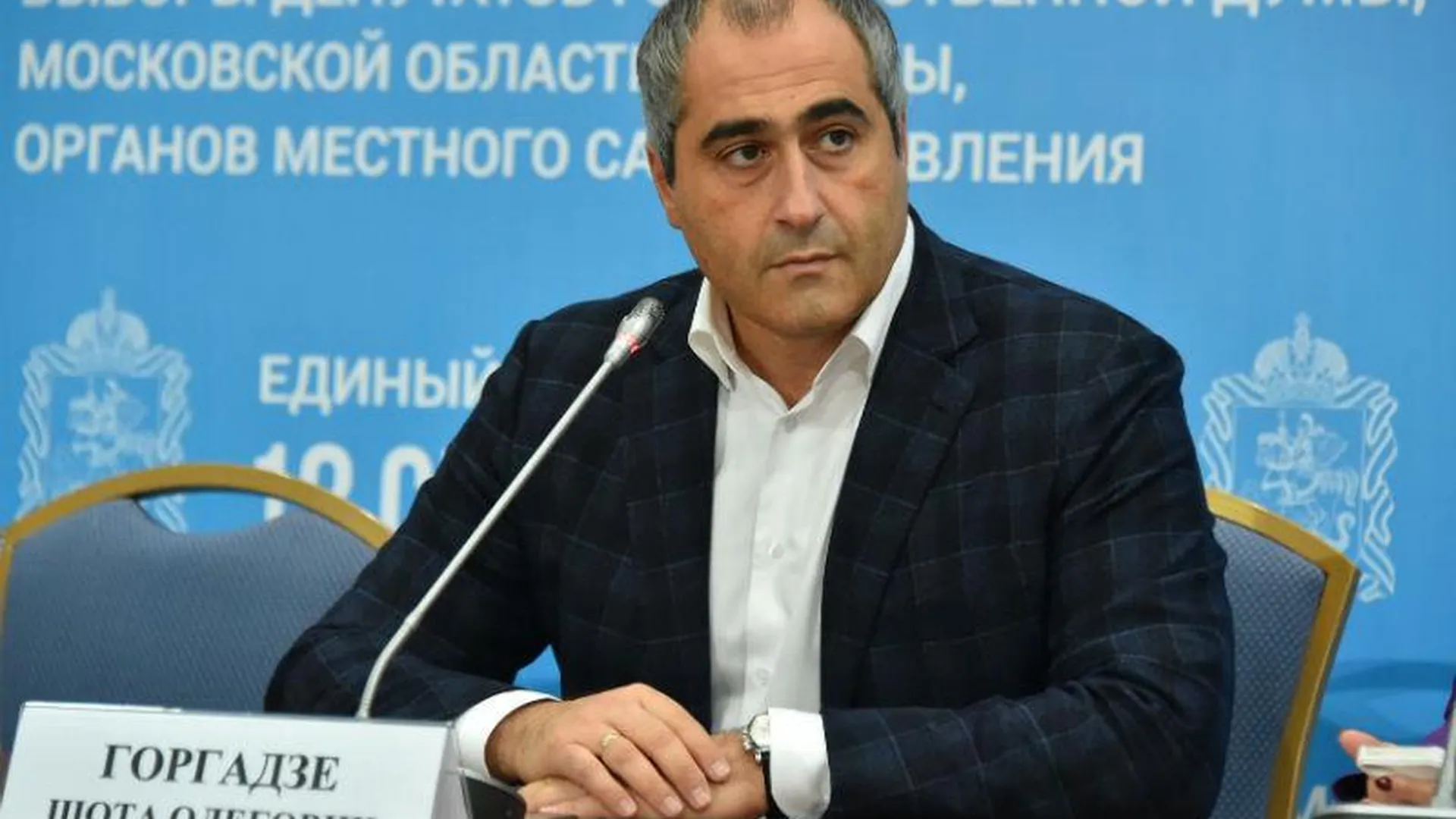 Подвоз избирателей в Одинцовском районе не подтвердился – Горгадзе