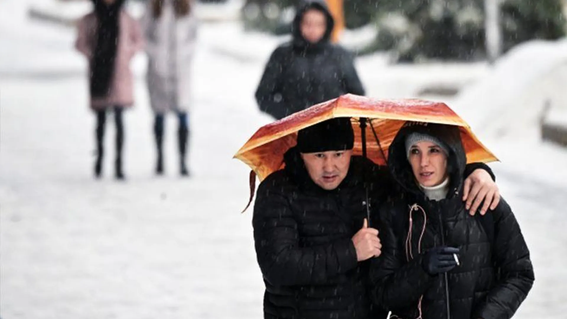 Рекордный тропический ливень в Москве не связан с глобальным потеплением – мнение эколога