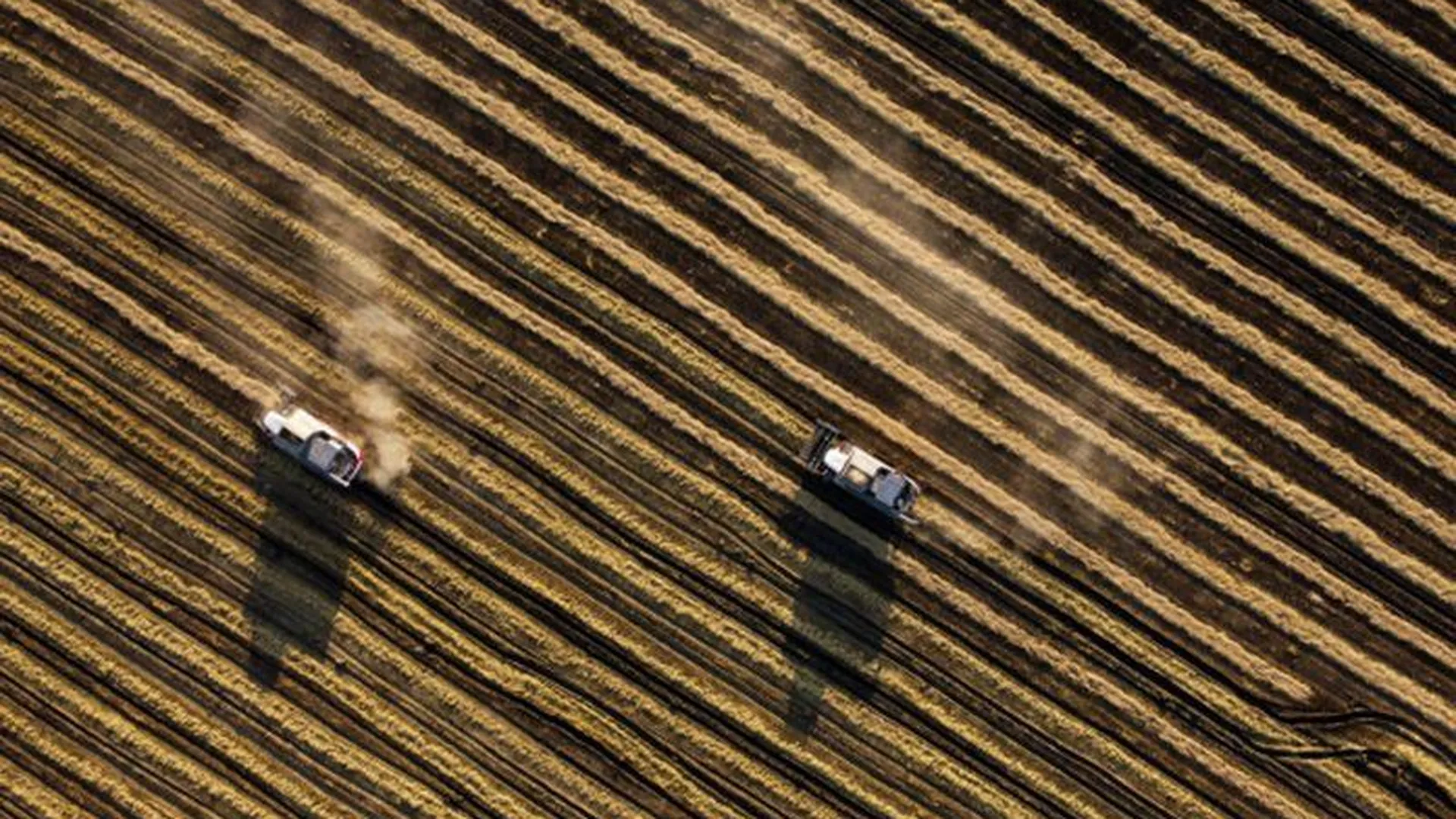Эксперт рассказал, почему Россия согласилась продлить «зерновую сделку»