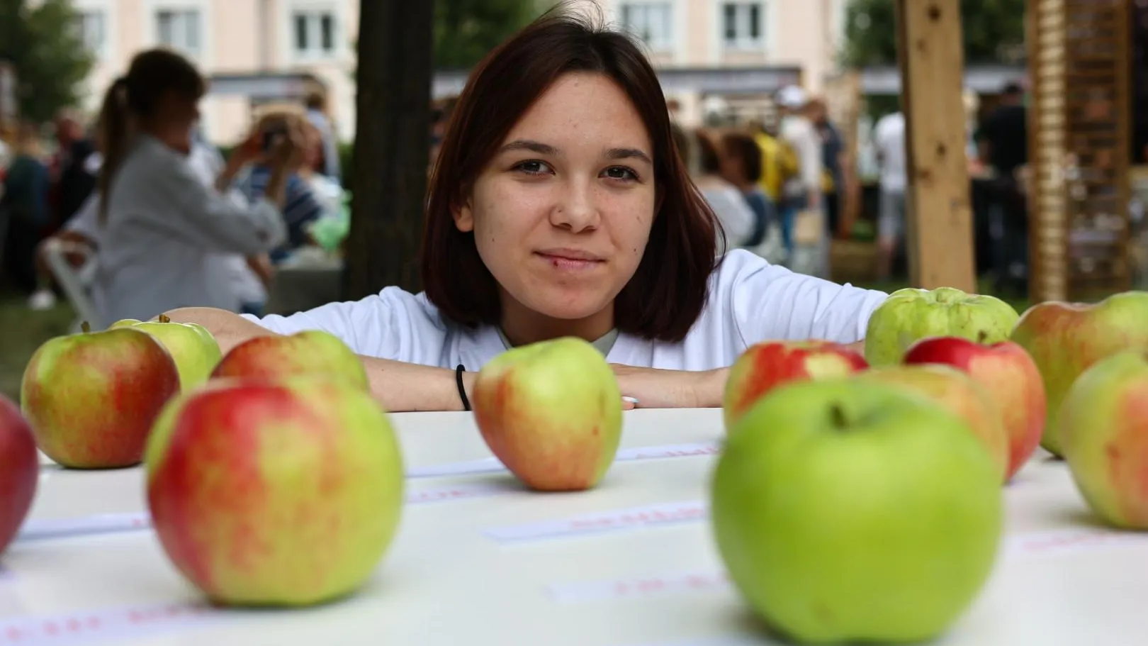 Международный яблочно-книжный фестиваль пройдет в сентябре в подмосковной Коломне