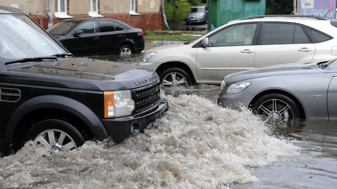 Медиаархив Подмосковья