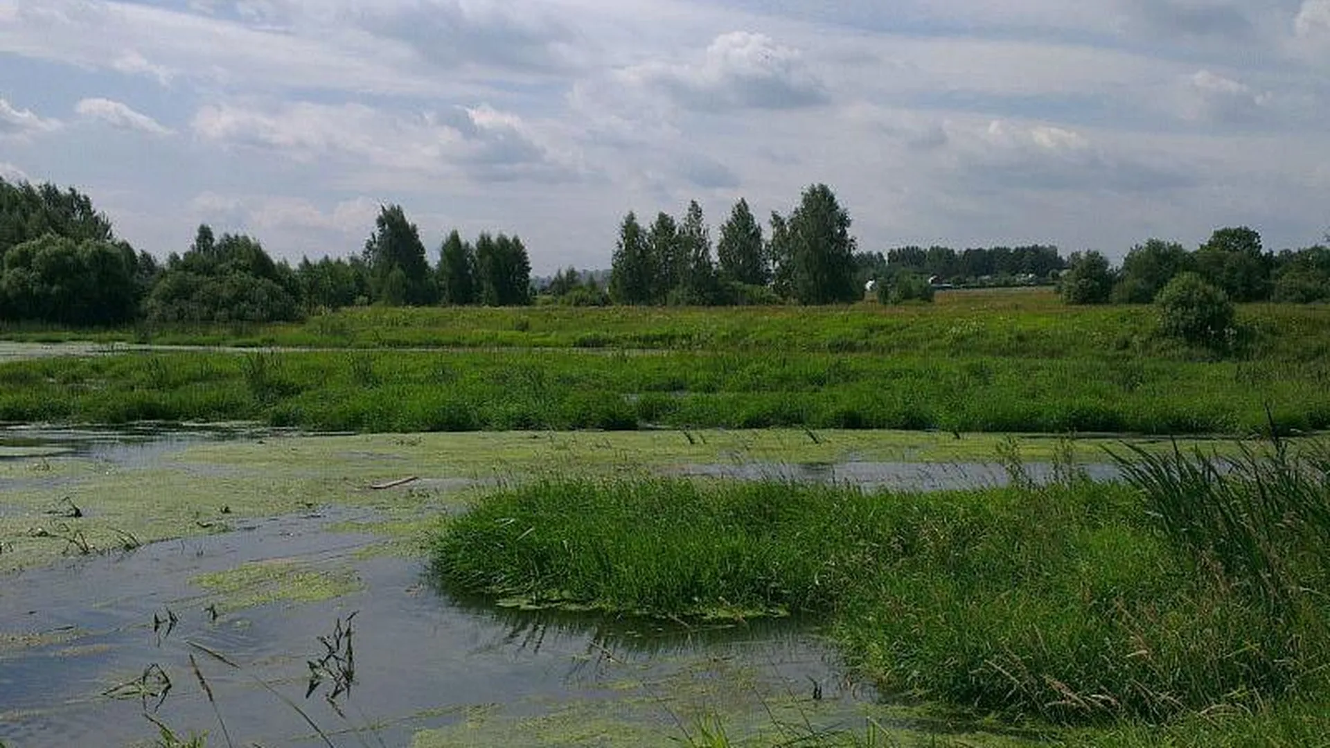 Речку Ворю очистят от тины и водорослей в Красноармейске