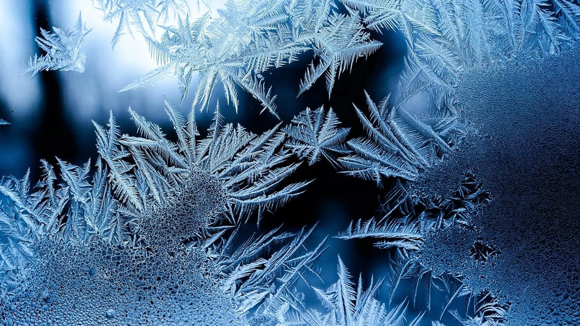 Заморозки до -5 градусов ожидаются в Подмосковье в ночь на субботу
