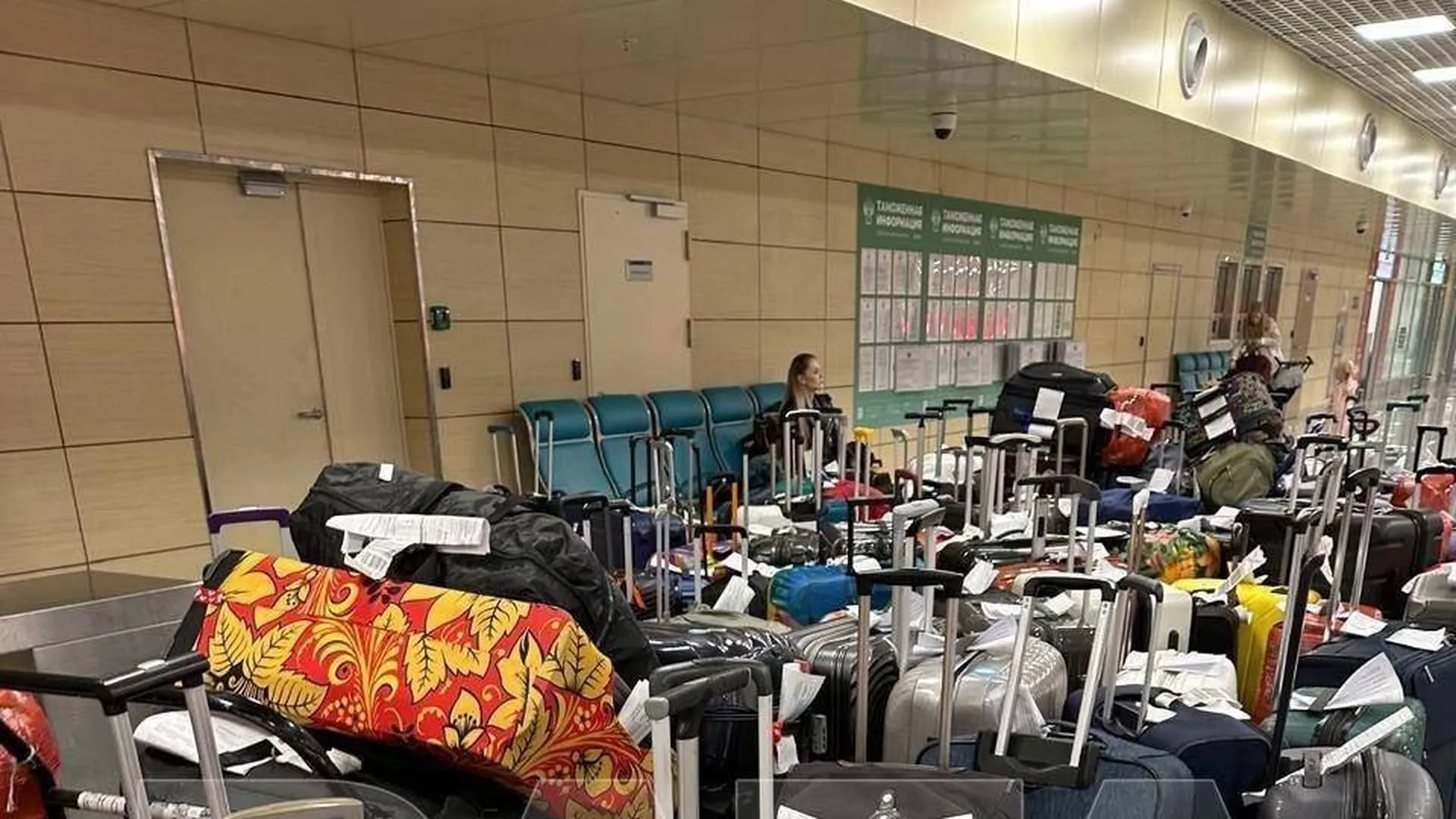 В аэропорту Домодедово скопились и 12 дней воняют десятки чемоданов из Дубая