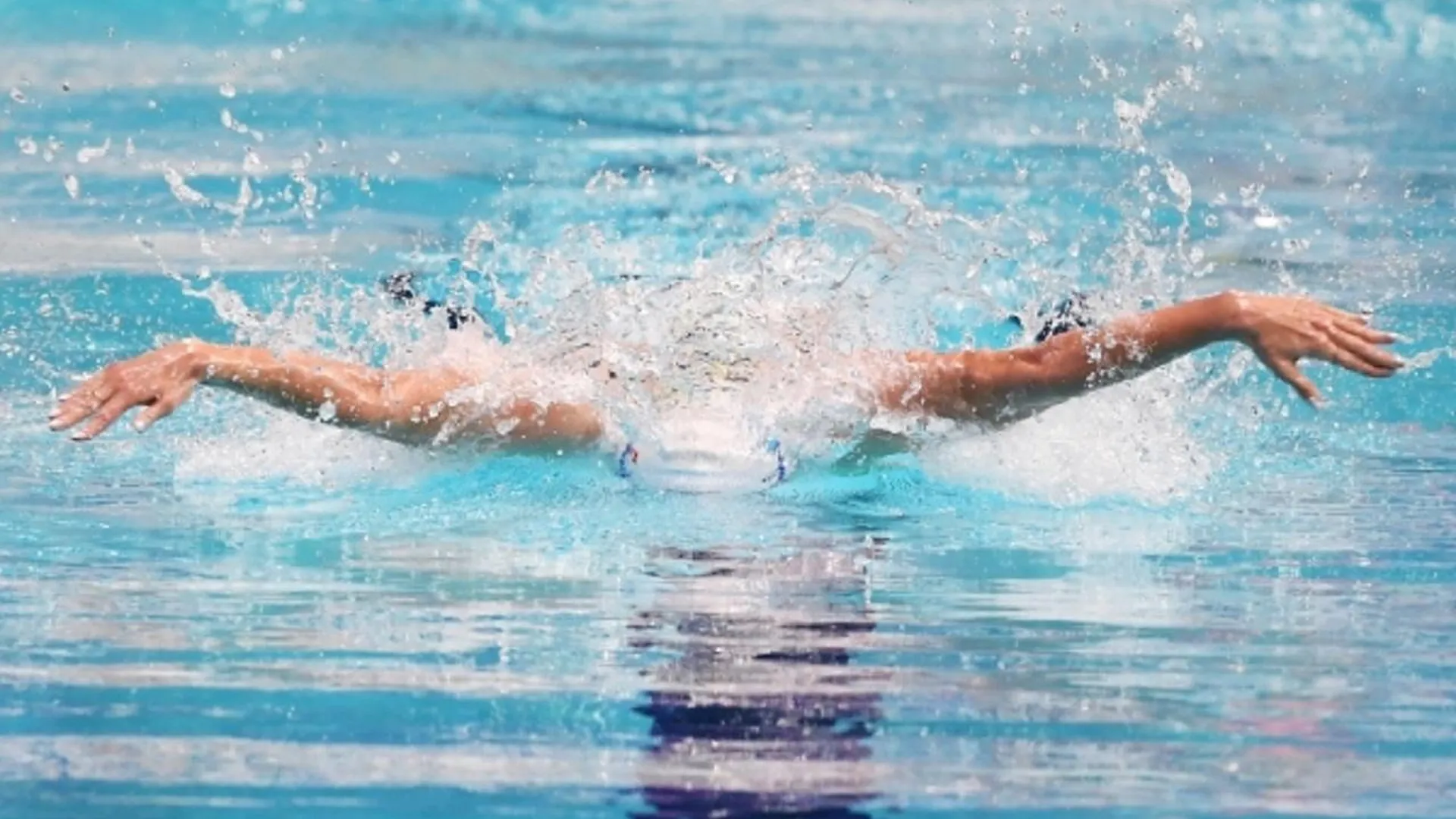 Сборная Подмосковья завоевала одиннадцать медалей на чемпионате России по плаванию