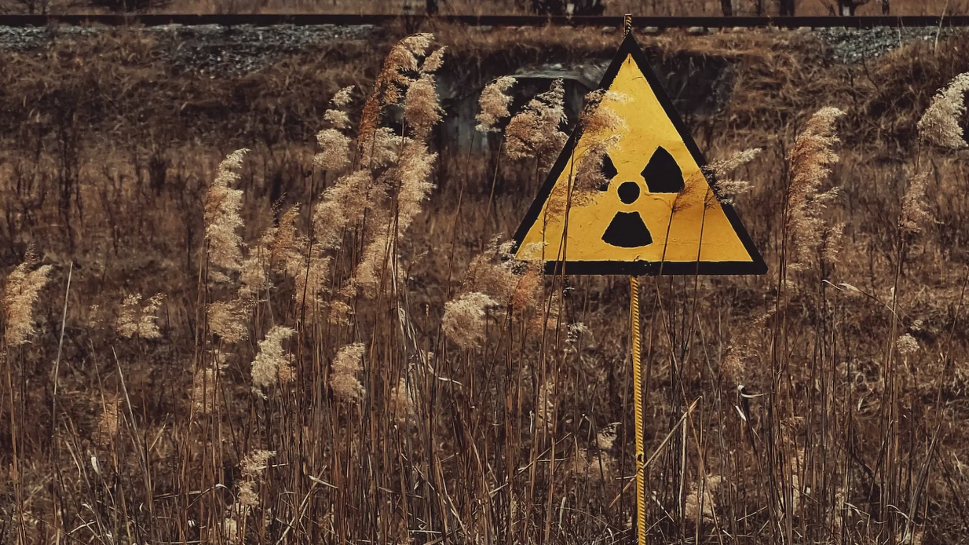 Мособлдума: 10 тысяч подвергшихся радиации жителей Подмосковья получают меры поддержки