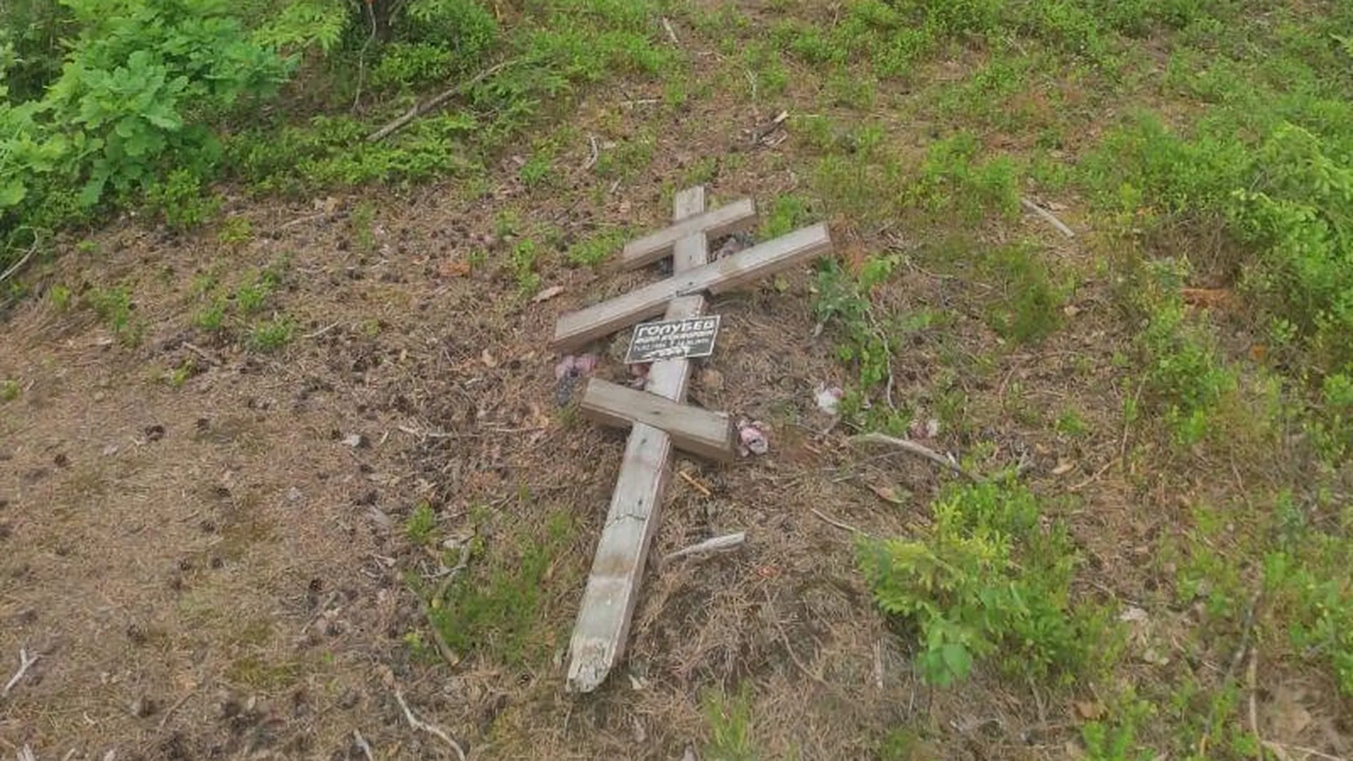 Житель Павловского Посада нашел памятный крест в лесу