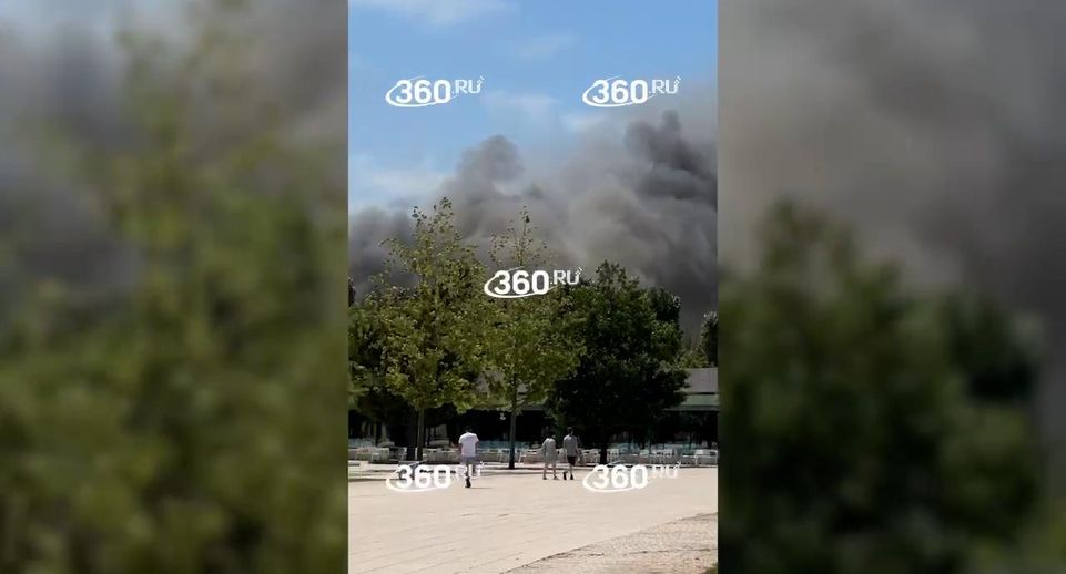 Спасатели полностью ликвидировали возгорание в парке Галицкого в Краснодаре