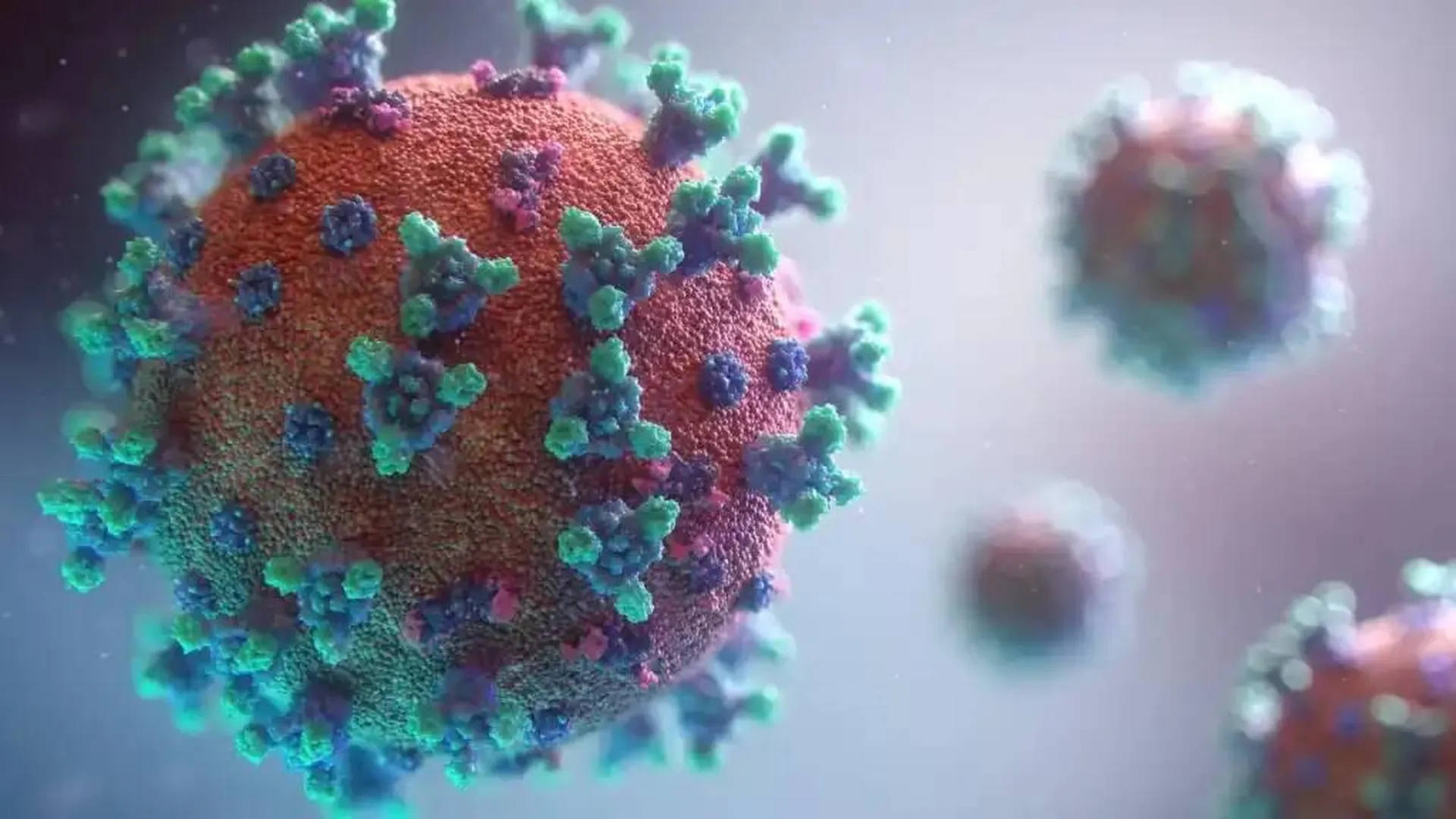 Убивает за 7 дней. Китайские ученые создали новый коронавирус