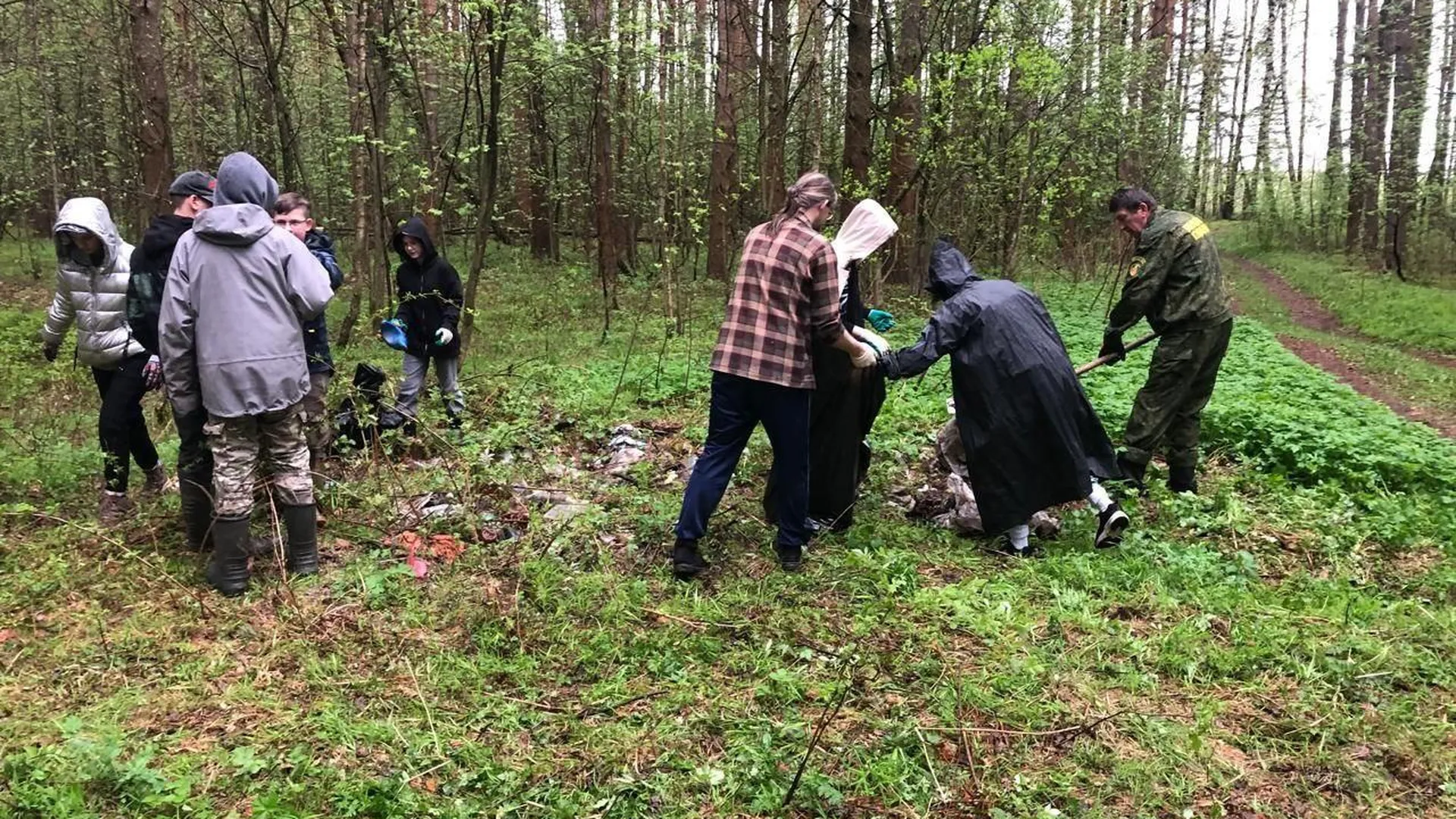 Школьники из Дмитрова помогают лесничим создать экотропу в Орудьевском участковом лесничестве