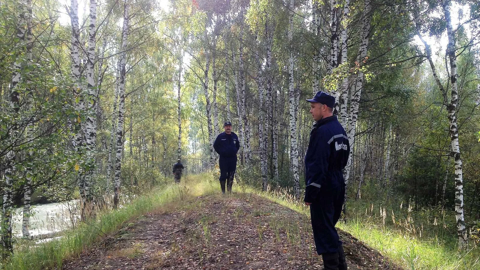 Спасательная операция в лесу. Великоустюгский 3 детский дом. В лесах обнаруживали детей потерянных. Мальчик которого нашли в лесу. Мальчик потерялся в лесу.