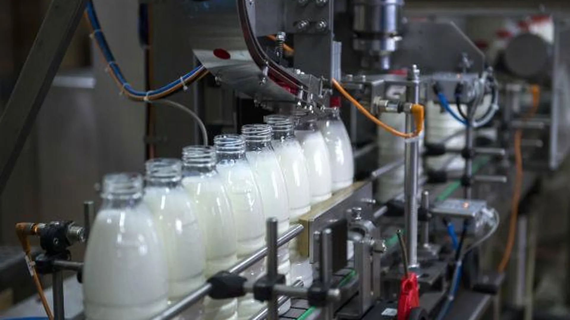 Подпольный молочный цех обнаружен под Наро-Фоминском