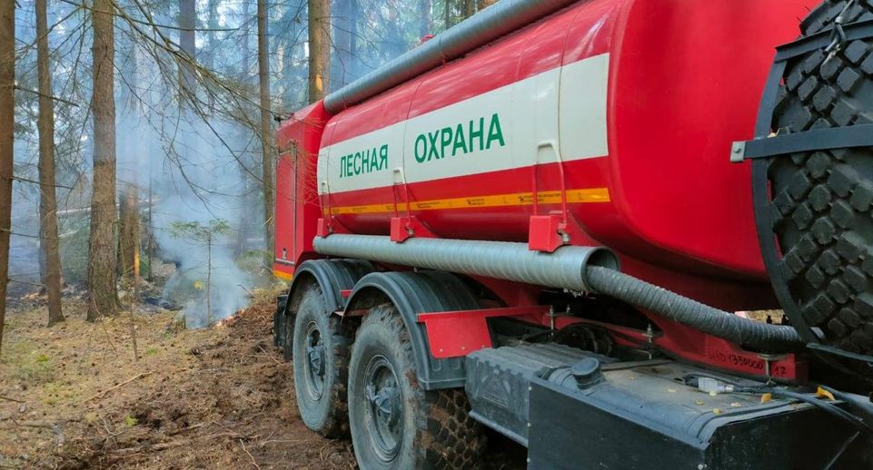 Почти 50 лесных пожаров потушили в подмосковных лесах с апреля