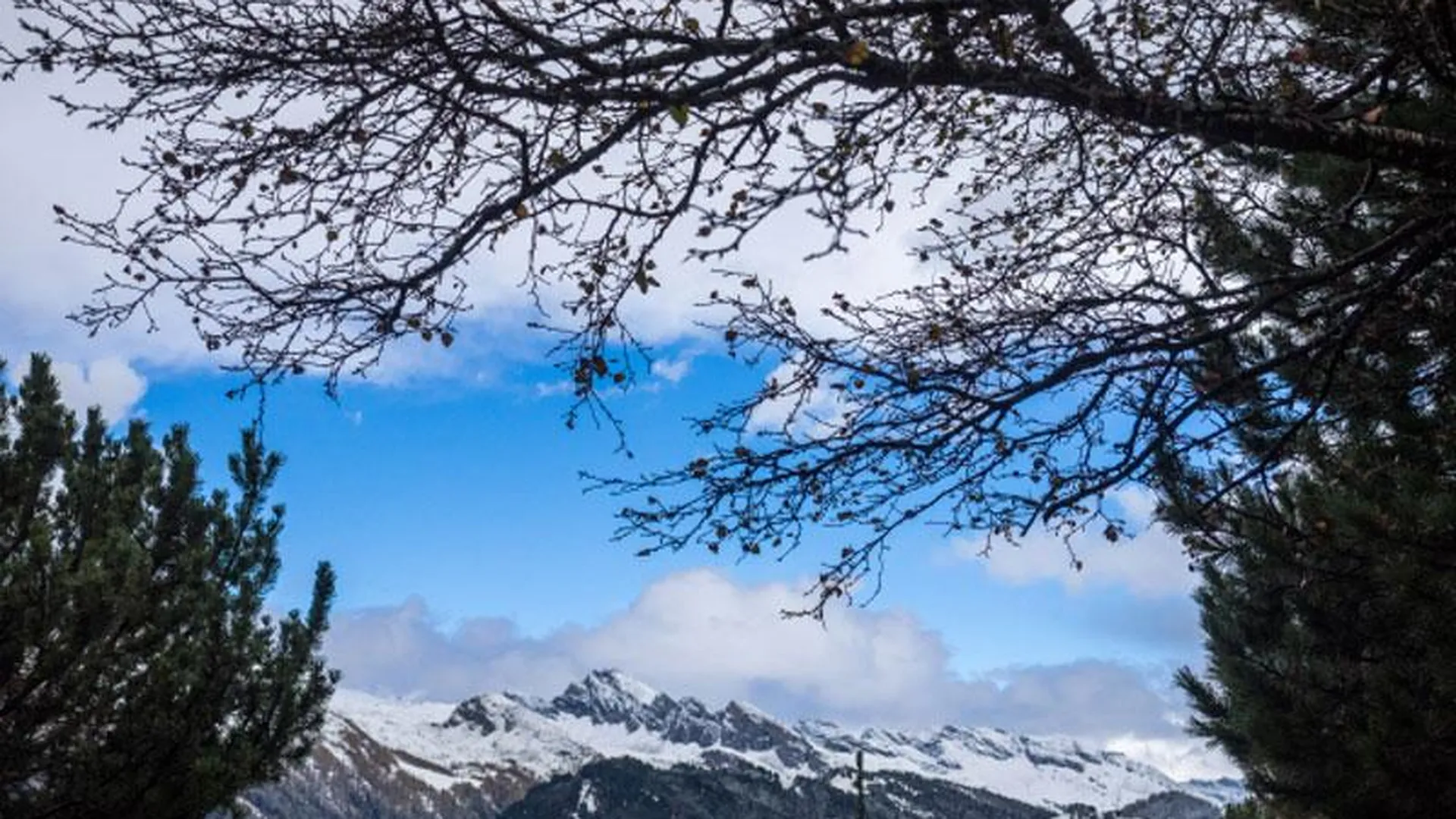 В Швейцарии англичанин продает горный воздух