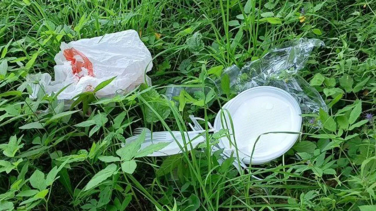 Жителей Подмосковья призвали пройти опрос об использовании пластиковой посуды