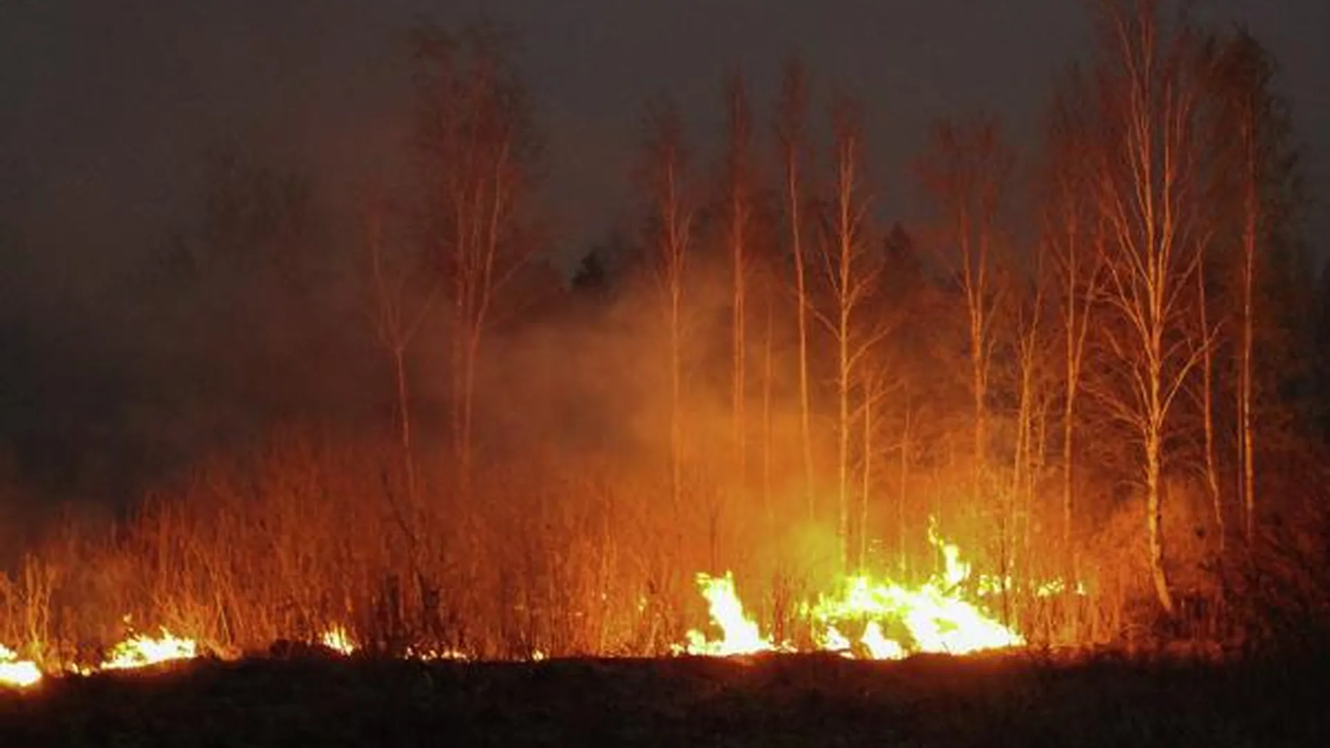 Названы наиболее популярные причины природных пожаров в России
