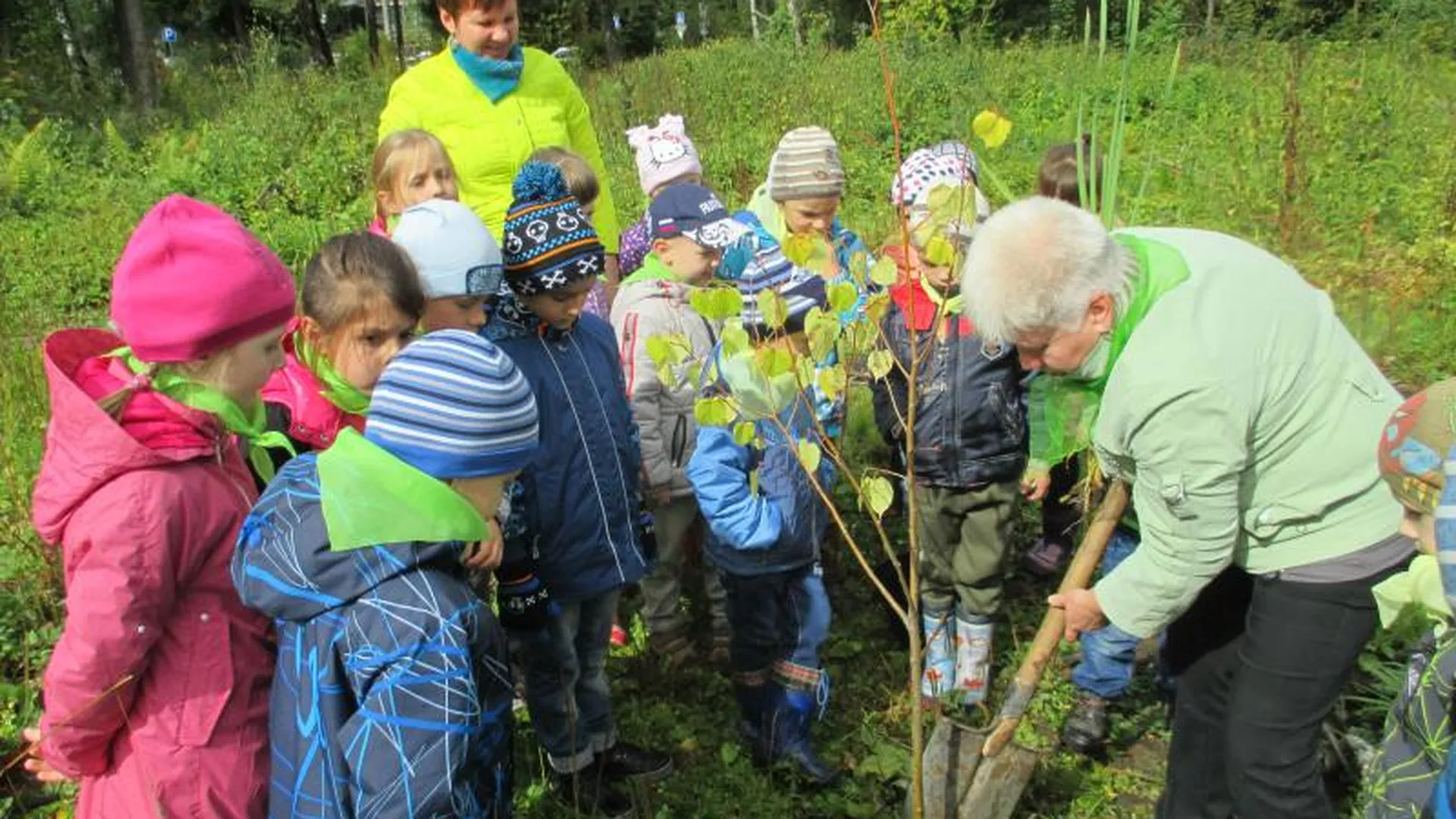 Солнечногорские дошкольники поучаствовали в акции «Наш лес»