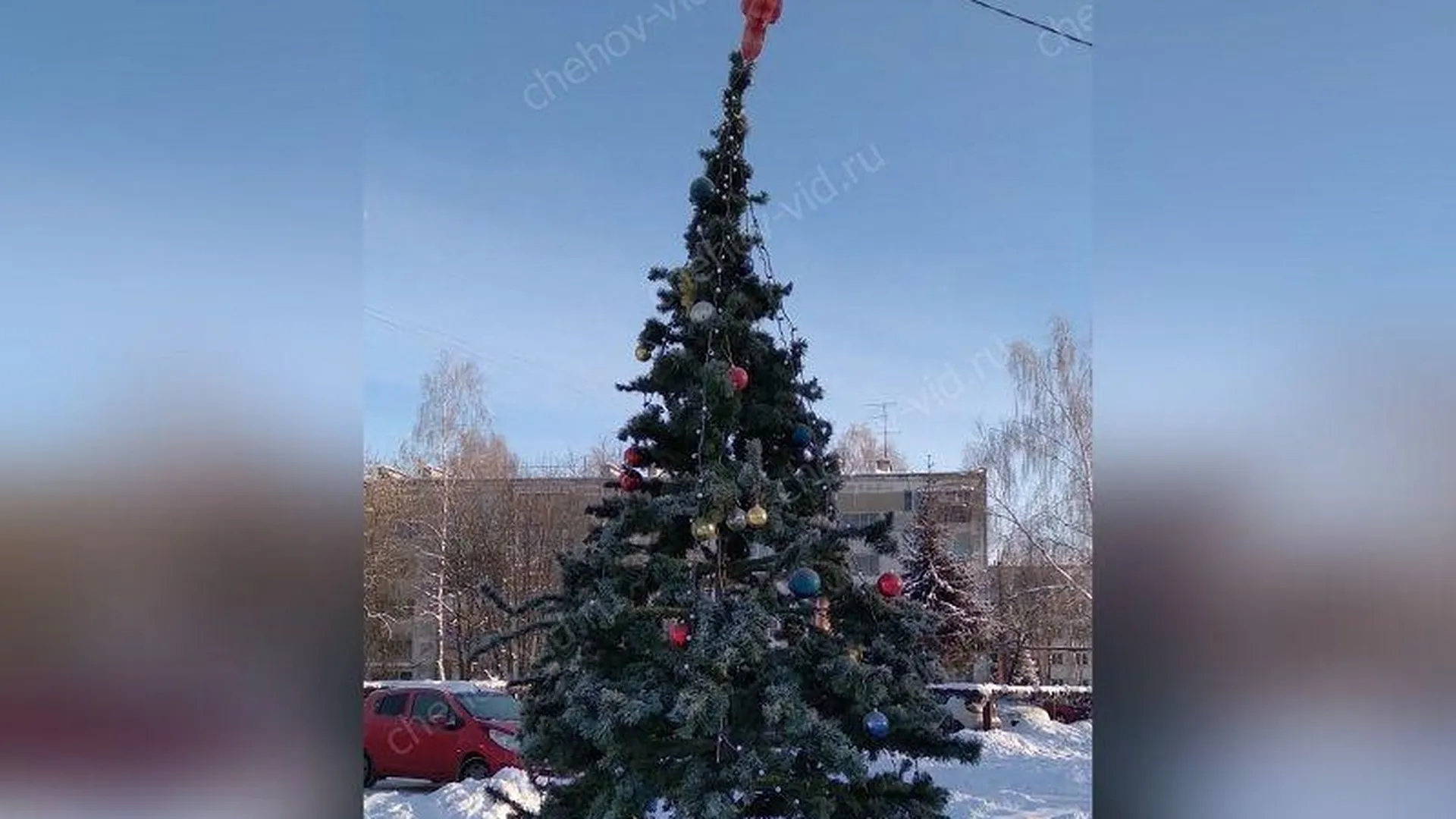 «Использованную» новогоднюю елку заменят в городском округе Чехов