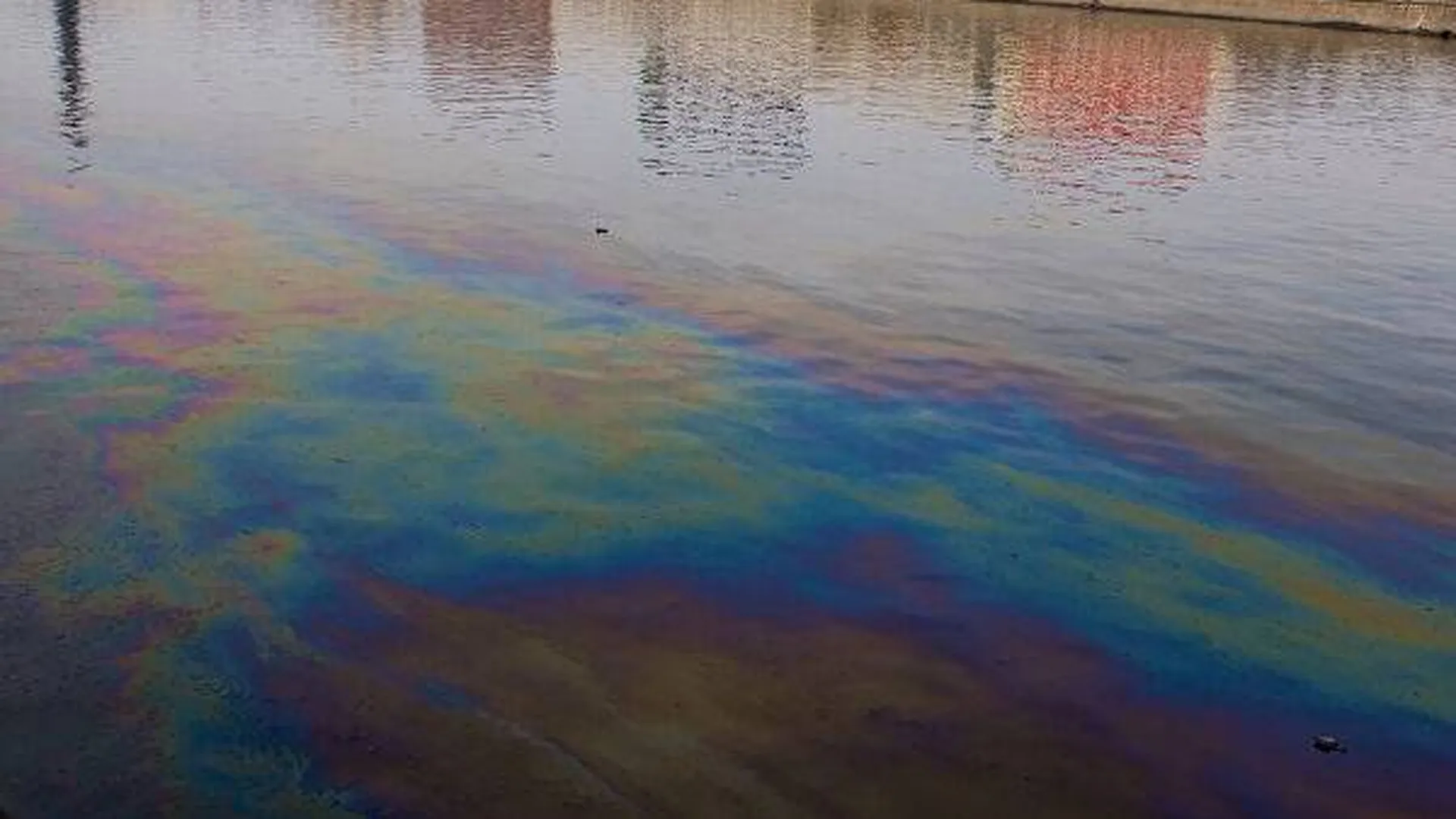 Нефть нашли в крещенской купели на Сахалине