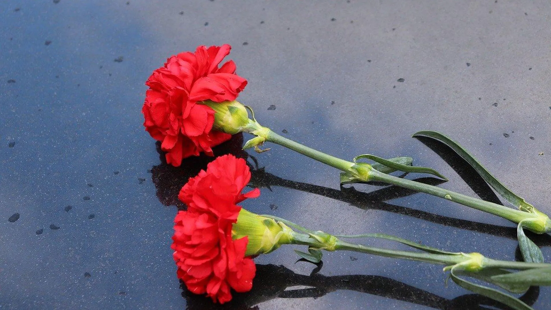 Житель Латвии попал под следствие за возложение цветов к месту снесенного «Алеши»