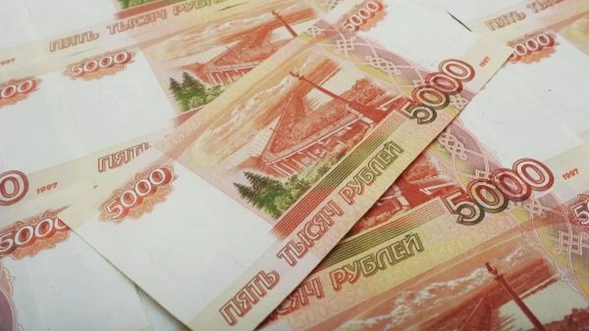 Землевладельца в Шатуре оштрафовали на 200 тысяч рублей