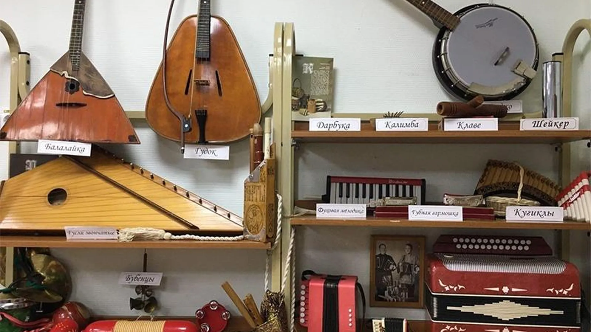 Музей редких музыкальных инструментов открылся в Подмосковье