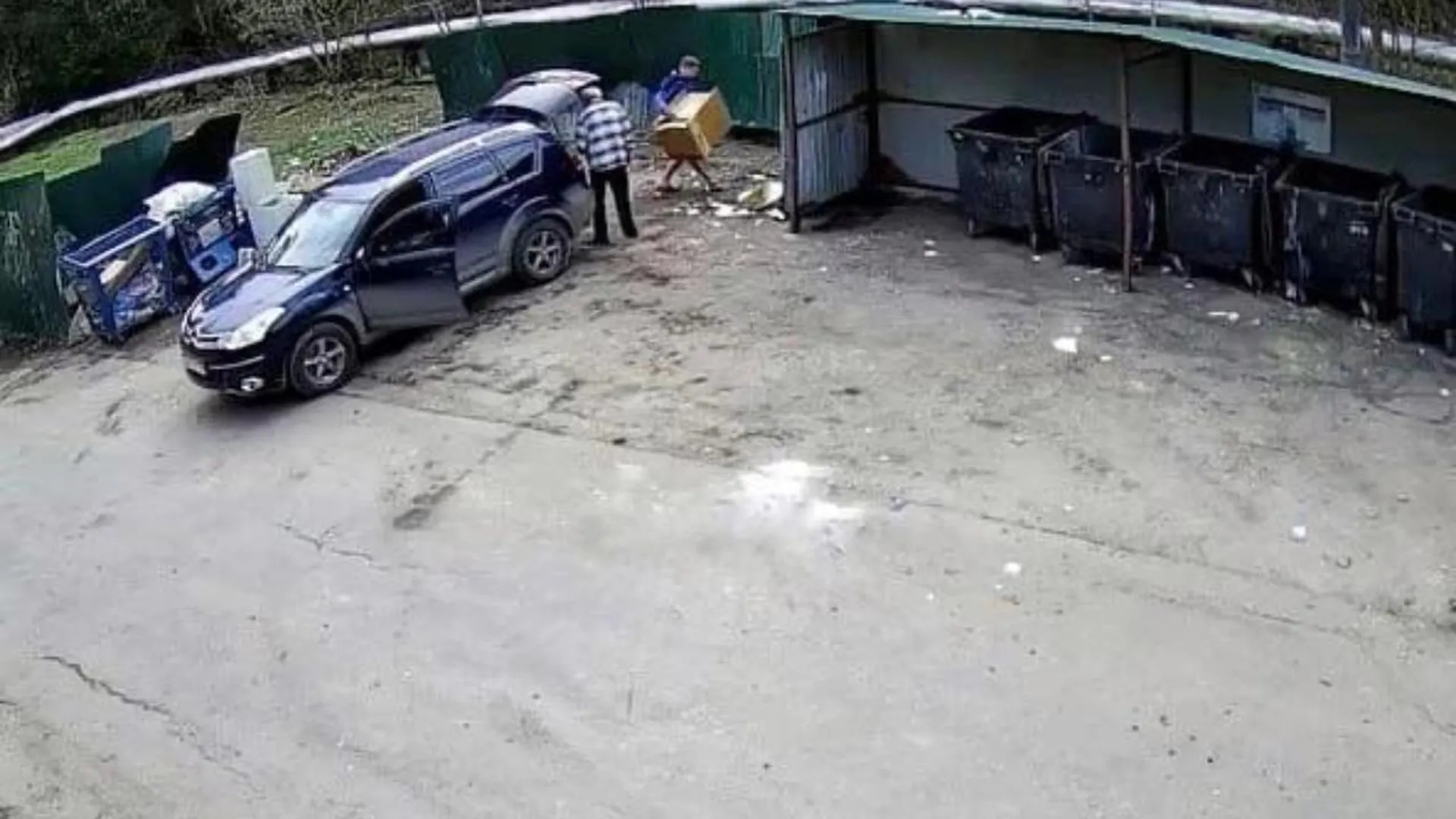 Видеокамеры в Подмосковье за неделю зафиксировали 161 случай сброса мусора из автомобилей