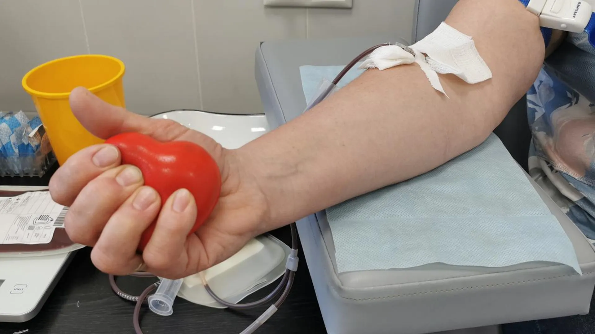 «Живем в период бесконечных угроз»: в Госдуме хотят наделить доноров крови особым статусом
