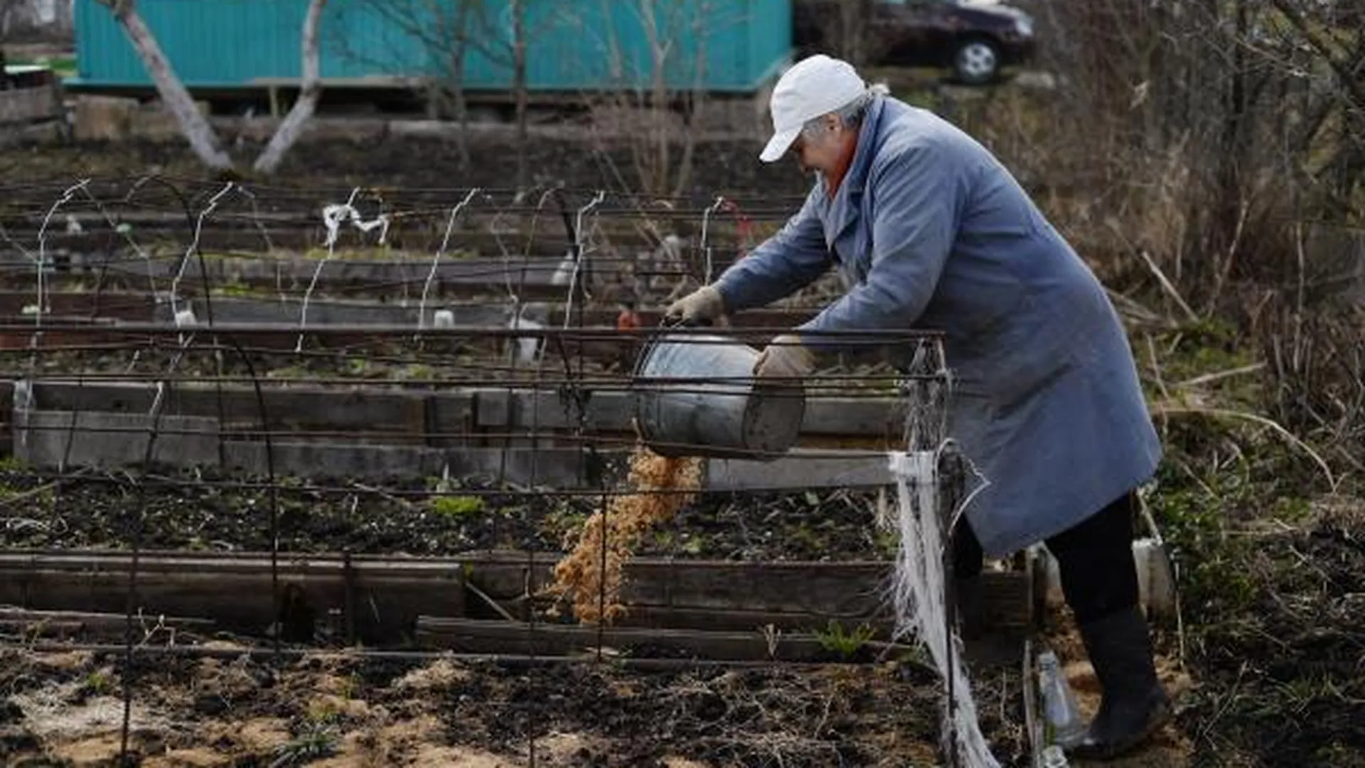 Дачники МО подали 13 тыс жалоб на высокую кадастровую стоимость участков