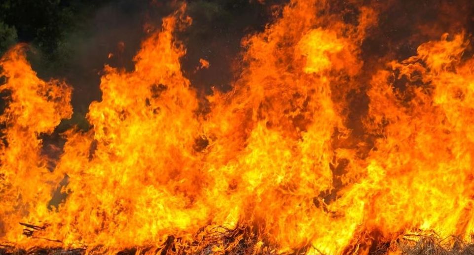 TRT Haber: лесные пожары в Турции охватили Измир, Айдын и Чанаккале