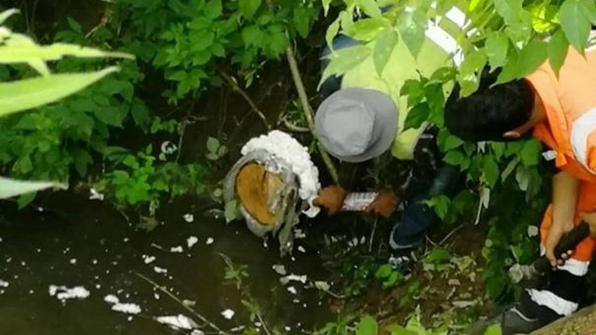 Жители Подольска добились ликвидации незаконного слива сточных вод от соседа
