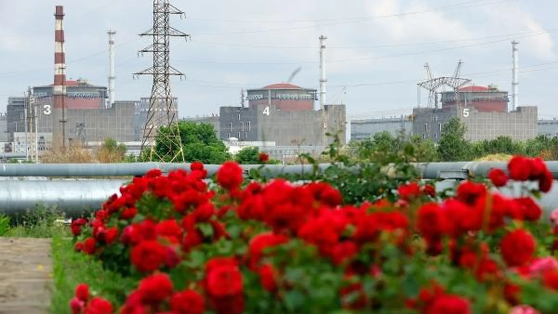 Энергетик Юшков перечислил последствия отключения Киевом энергоснабжения ЗАЭС