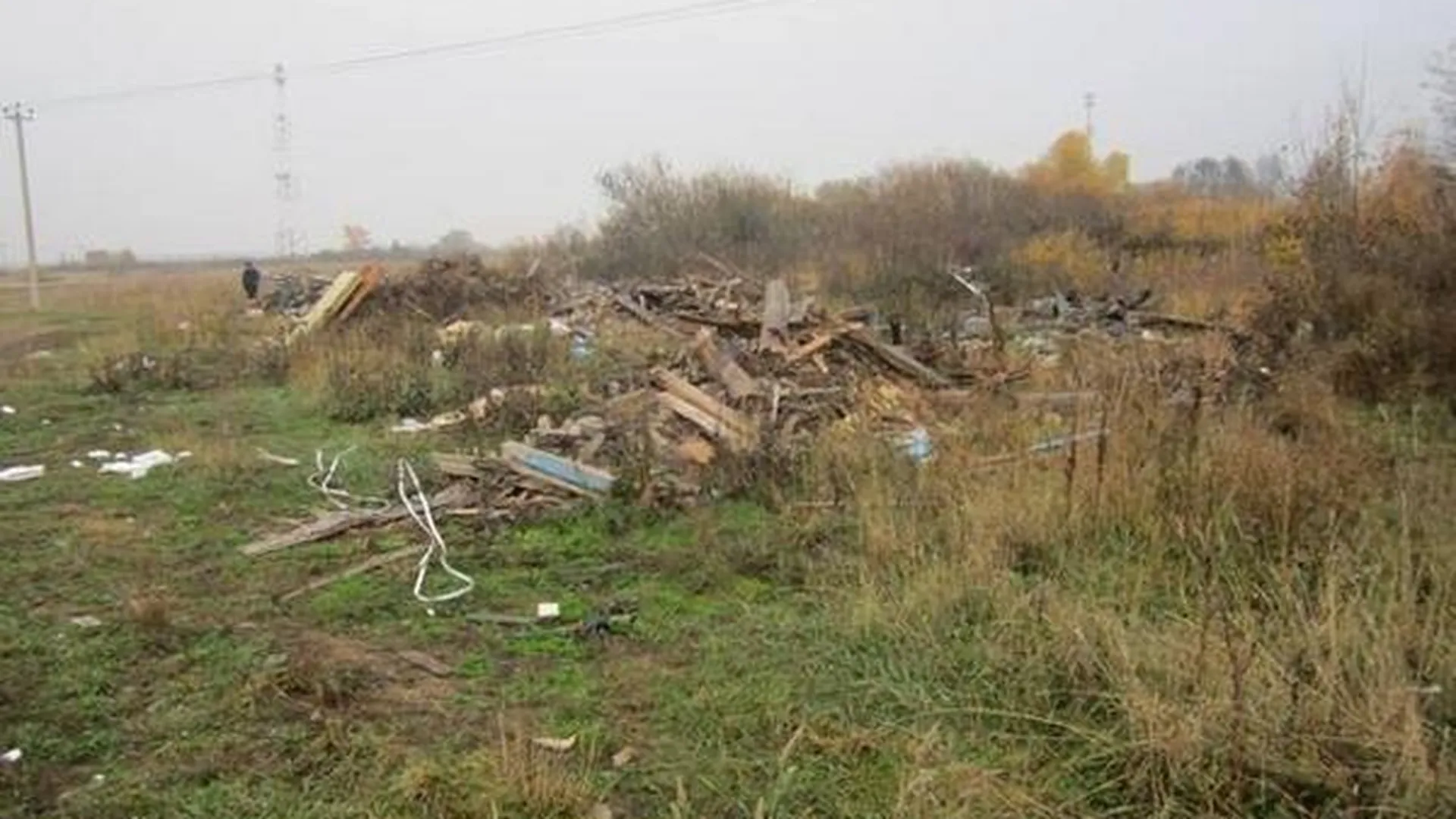 Навал мусора в деревне Волоколамского района устранили по щелчку