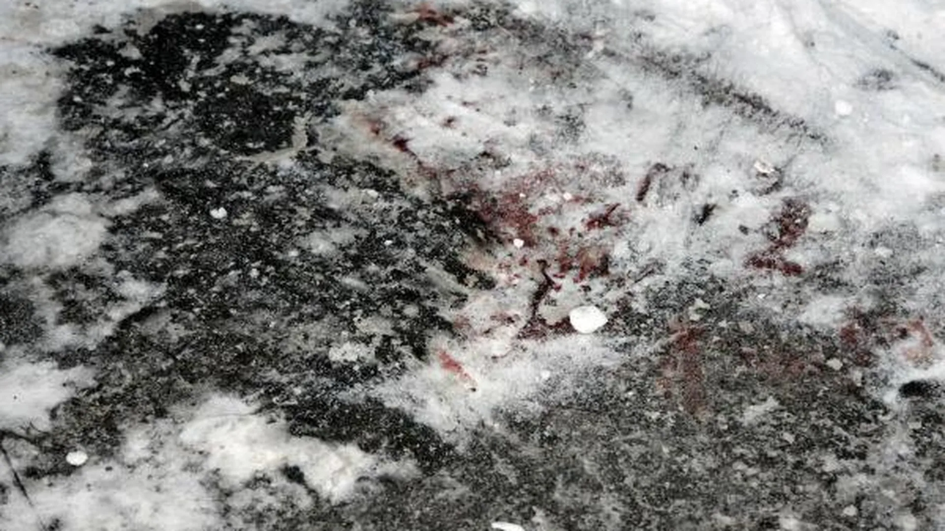 Женщина родила на улице и оставила ребенка в снегу в Чехове