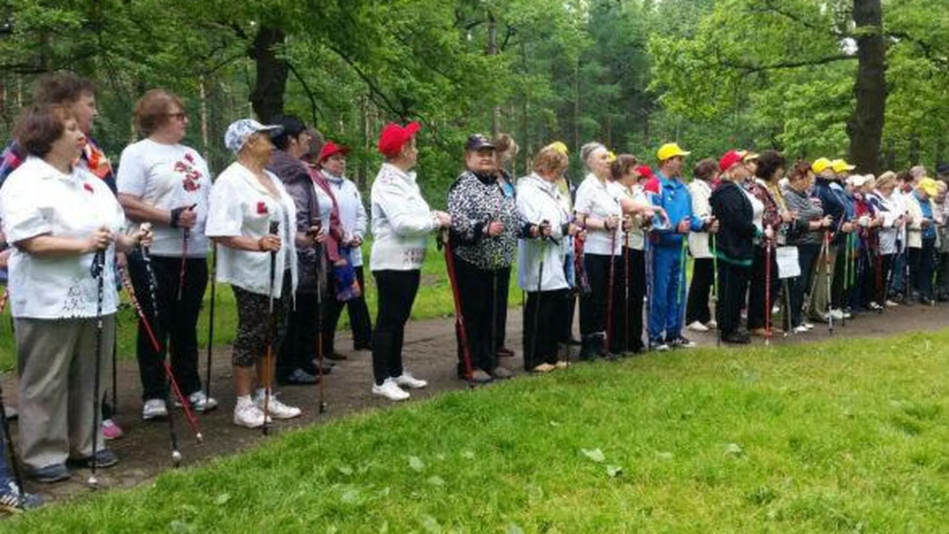 Пенсионеры-активисты принимают участие в фестивале скандинавской ходьбы в Подольске