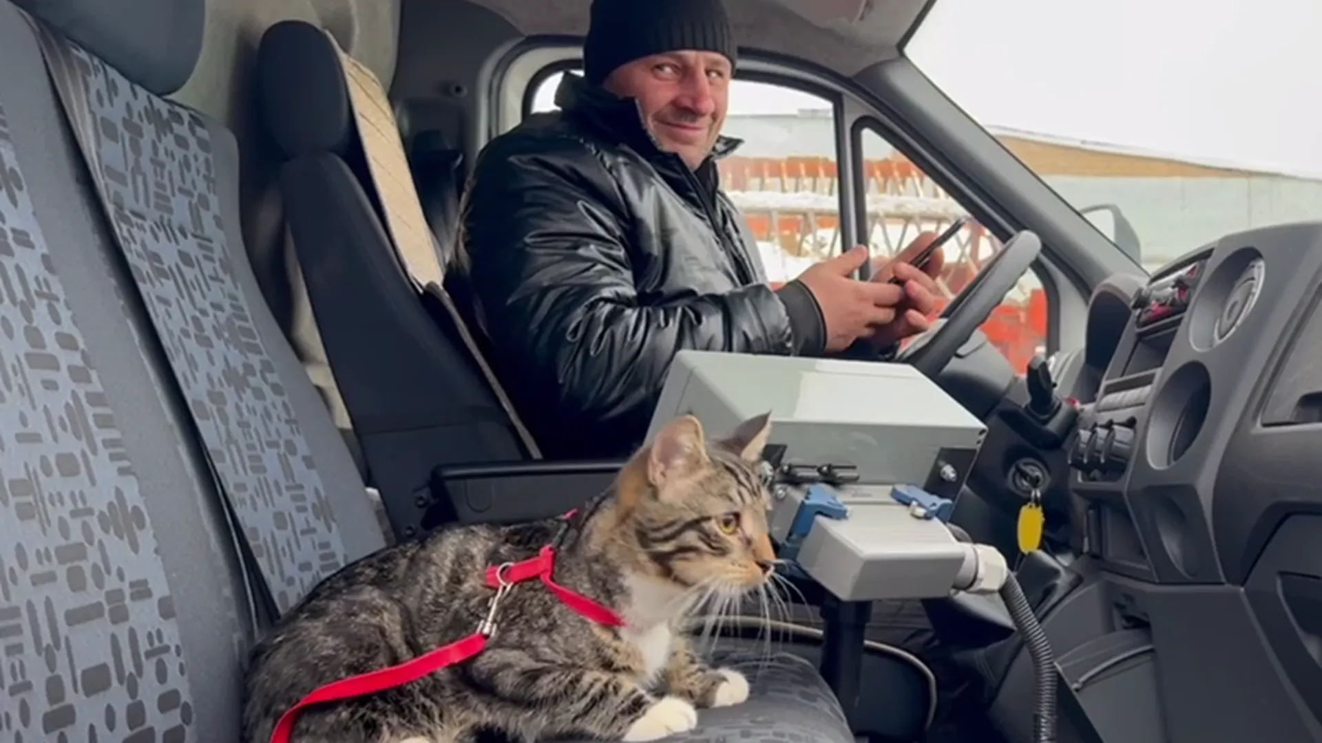 Коты помогают сотрудникам Подольского комбината на работе