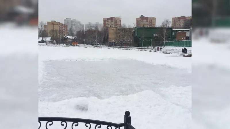 Спасатели вывели детей с опасного тонкого льда в Пушкино