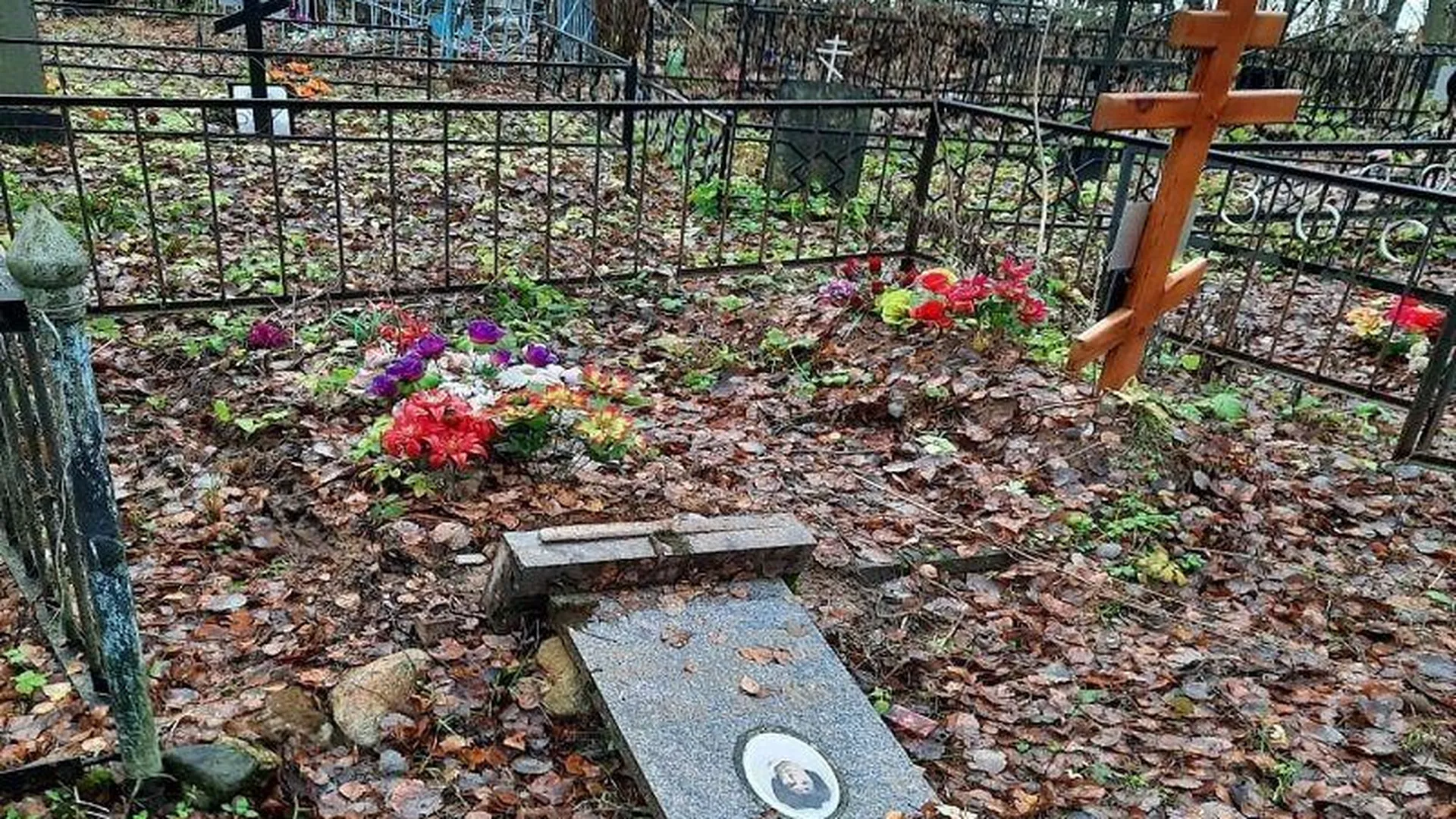 Вандалы разгромили кладбище в Дмитрове