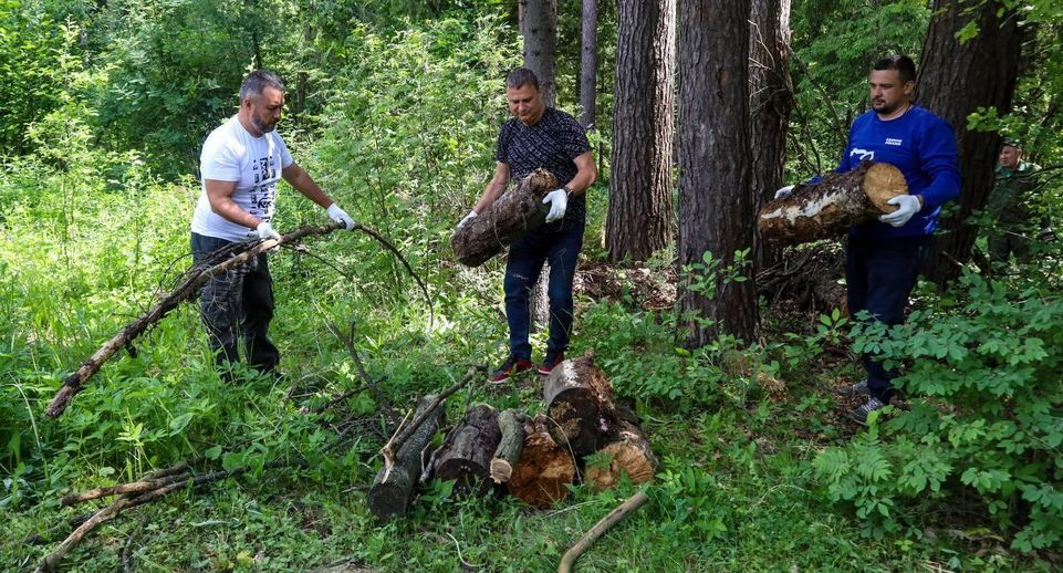 Акция «Чистый лес» прошла вблизи деревни Троицкое в Мытищах