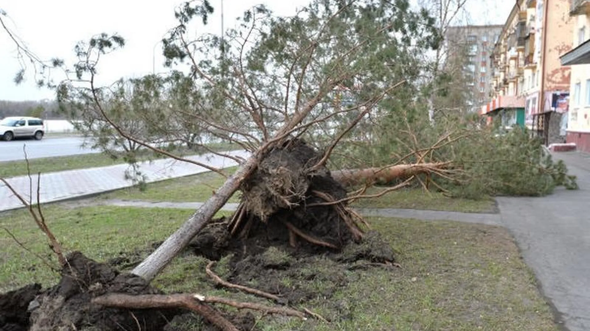 Четыреста деревьев и сотню машин повредил ураган в Люберцах
