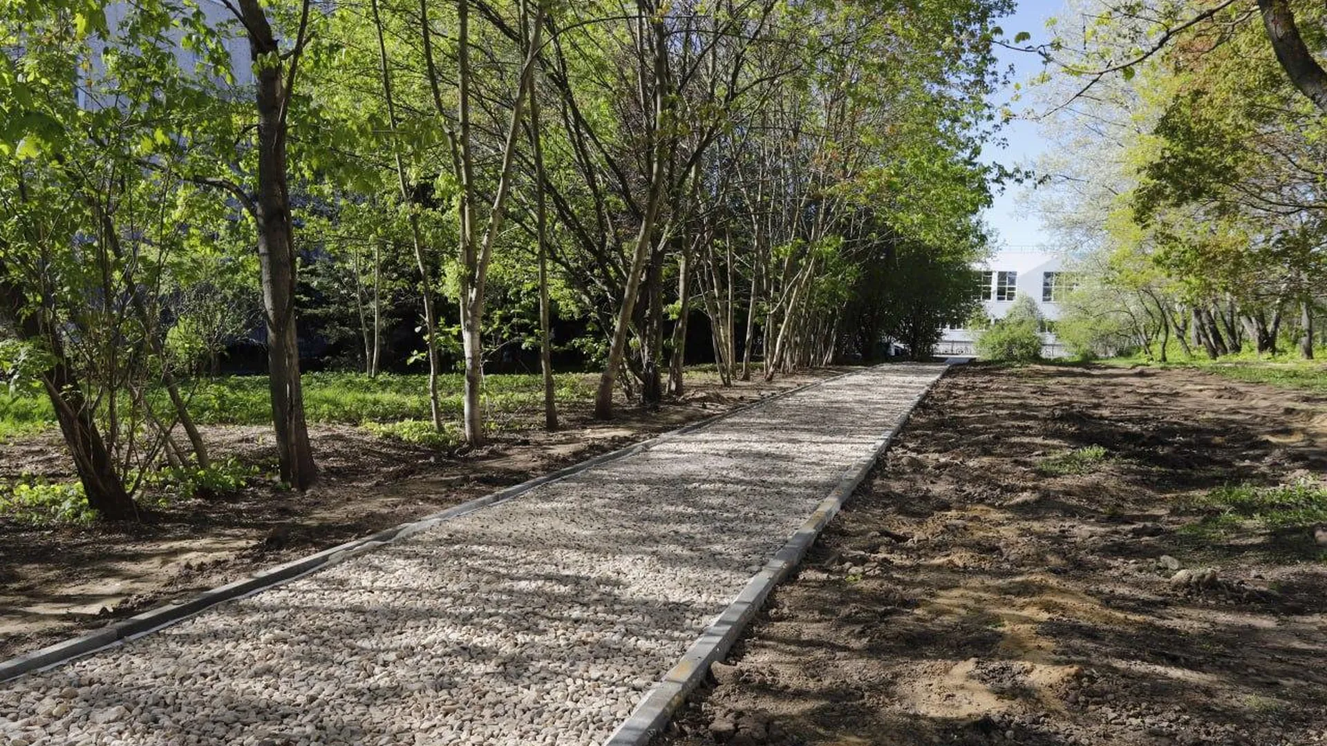Во Фрязино в рамках программы «Пешком» началось строительство пяти пешеходных дорожек