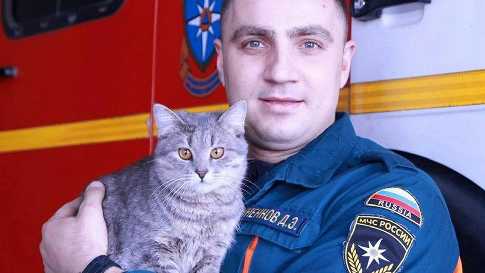 В Курске кота, спасенного в пожаре, приютили мчсники