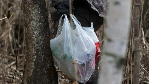 Почти двести миллионов рублей направят в Подмосковье на уборку мусора в лесах